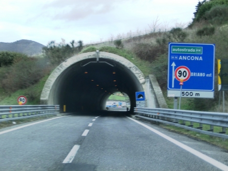 Campo d'Olmo Tunnel western portal