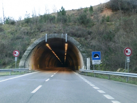 Tunnel de Malvaioli