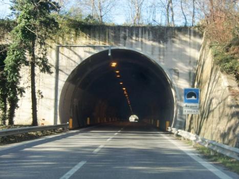 Tunnel Borgiano