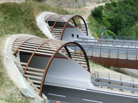 Belfiore -della Quintana di Foligno- Tunnel eastern portals