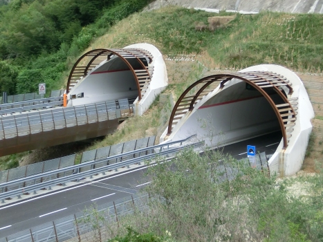 Pale Tunnel western portals