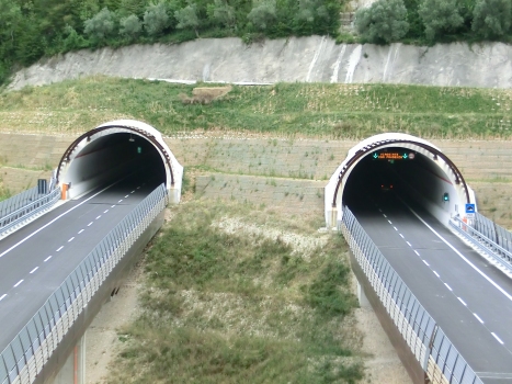 Tunnel de Pale