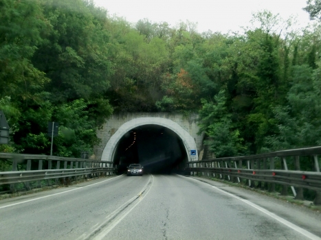 Carpino Tunnel western portal