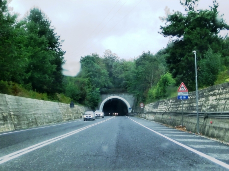 Homo Aeserniensis Tunnel western portal