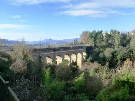 Cardarelli Bridge