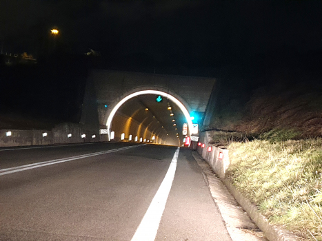Tunnel Lama Bianca