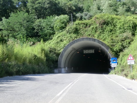 Corvenale Tunnel southern portal