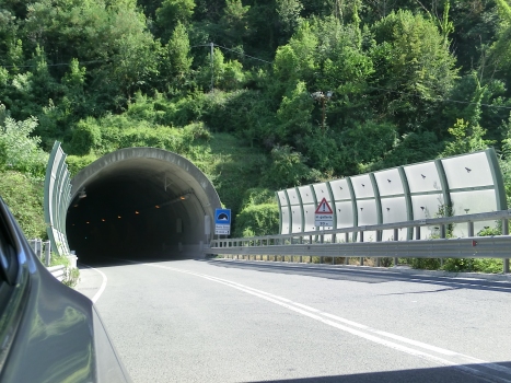 Monte Greco Tunnel northern portal