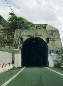 2a De Barbieri Tunnel western portal