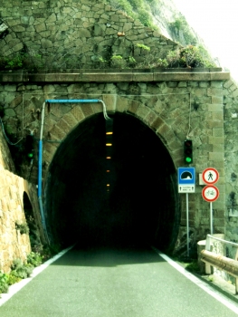 Lardea Tunnel western portal