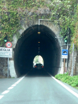 Lemeglio Tunnel eastern portal