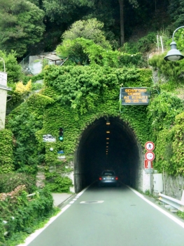 Monteleone Tunnel eastern portal