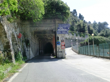 Monteleone Tunnel western portal