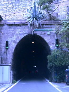 Riva Tunnel eastern portal