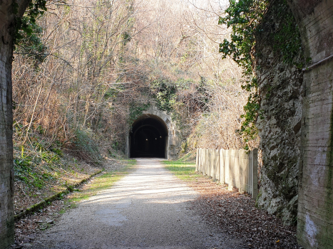 Tunnel de Leda
