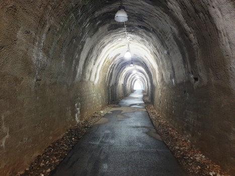 Tunnel de Lavena I