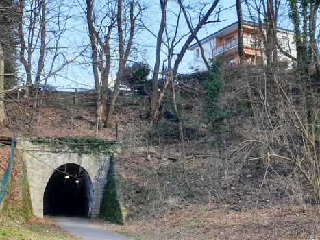 Tunnel de Lavena I