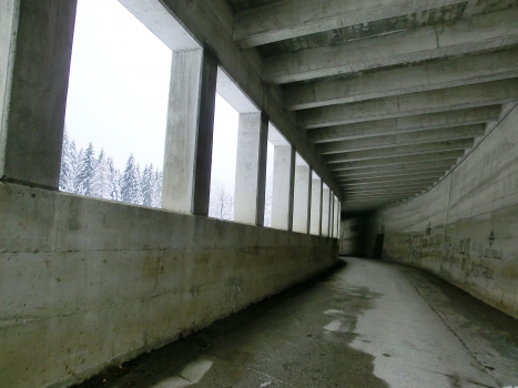 Pila Tunnel