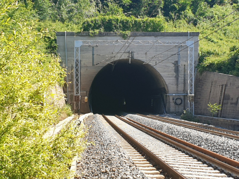 Arboretaccio Tunnel