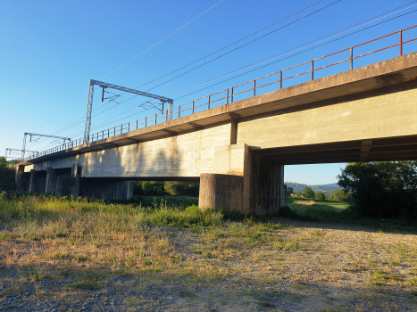 Argento Viaduct