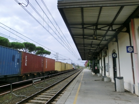 Gare de Torre del Lago Puccini