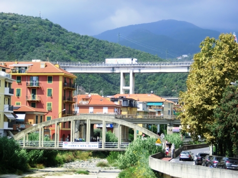 Teiro Footbridge with the Teiro Viaduct in the background