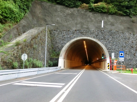 Bom Jesus Tunnel eastern portal