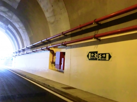 Bom Jesus Tunnel SOS niche