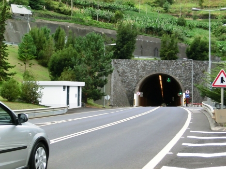 Tunnel Cruz