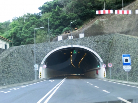 Faial Cortado Tunnel northern portal