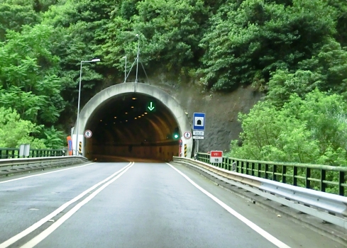 Pinheiro Tunnel western portal