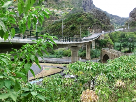 Primero de Julho Bridge and old Faial Bridge