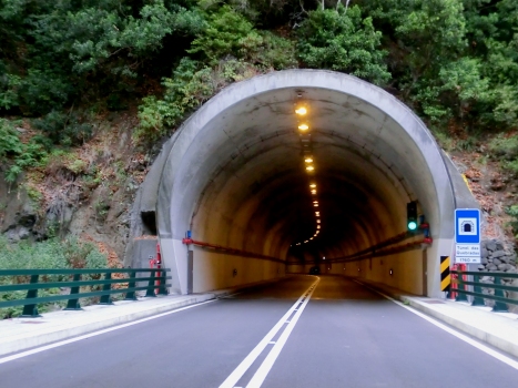 Quebradas Tunnel eastern portal