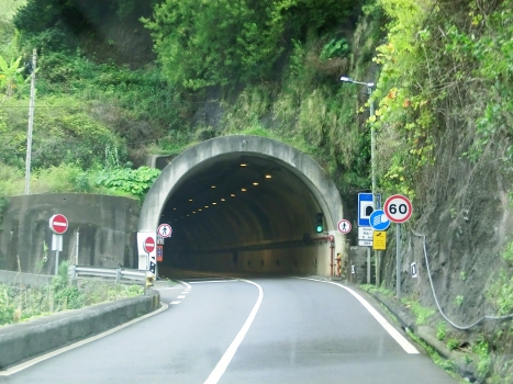 Ribeira de São Jorge Tunnel western portal