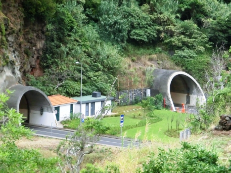 Cardais Tunnel southern portal (on the left) and São Vicente Tunnel western portal