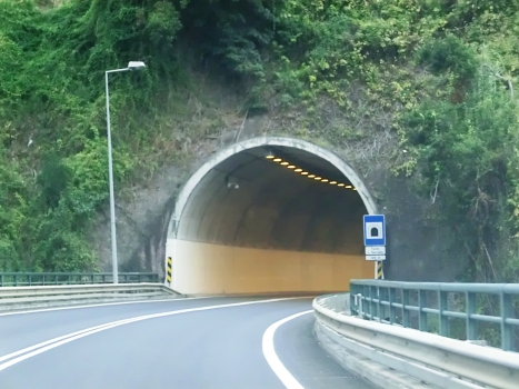 Serrado Tunnel southern portal