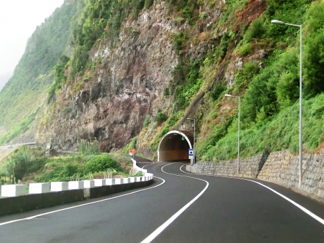 Tunnel de Ladeira da Vinha