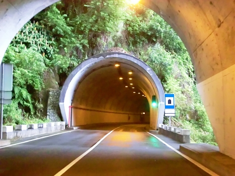 Lugar Tunnel eastern portal from Ribeiro Moinho Tunnel western portal