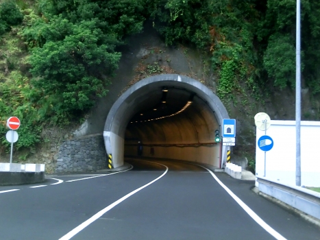 Lugar Tunnel western portal