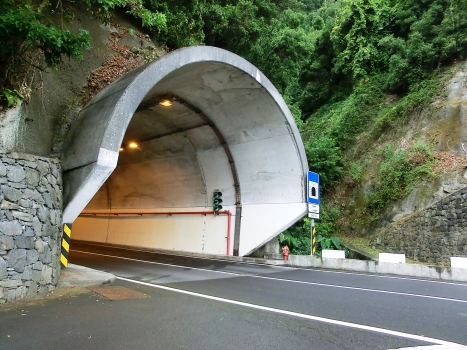 Lugar Tunnel western portal