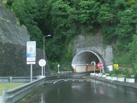 Tunnel Ribeiro Moinho