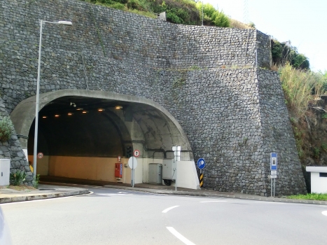 Tunnel de Dotour