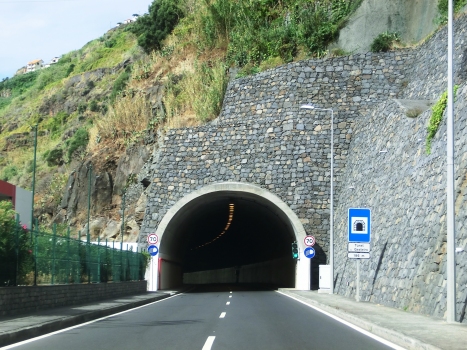 Gesteiro Tunnel northern portal
