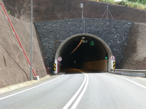 Jardim Pelado Tunnel western portal