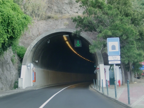Tabua Tunnel western portal