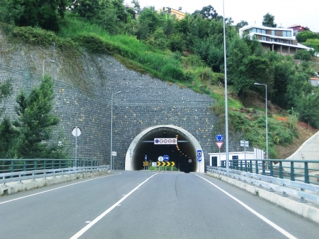 Vasco Gil Tunnel eastern portal