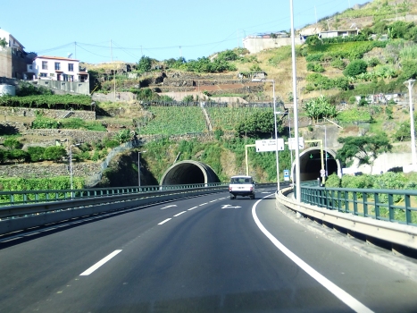 Alforra Tunnel eastern portals