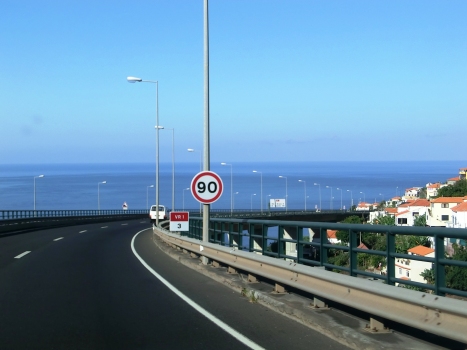 Amoreira Viaduct