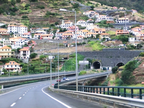 Machico Viaduct and Double Caniçal Tunnel western portals