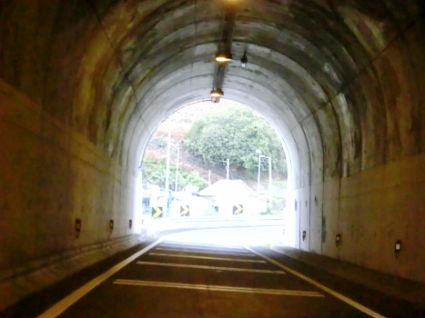 Fazenda Exit Branch Tunnel western portal